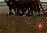 Image of Farmer with horses and mules plows field New York United States USA, 1970, second 49 stock footage video 65675040536