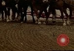 Image of Farmer with horses and mules plows field New York United States USA, 1970, second 51 stock footage video 65675040536