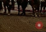 Image of Farmer with horses and mules plows field New York United States USA, 1970, second 52 stock footage video 65675040536