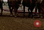 Image of Farmer with horses and mules plows field New York United States USA, 1970, second 53 stock footage video 65675040536