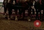 Image of Farmer with horses and mules plows field New York United States USA, 1970, second 55 stock footage video 65675040536