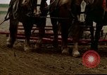 Image of Farmer with horses and mules plows field New York United States USA, 1970, second 56 stock footage video 65675040536
