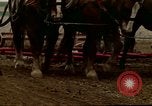 Image of Farmer with horses and mules plows field New York United States USA, 1970, second 57 stock footage video 65675040536