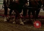 Image of Farmer with horses and mules plows field New York United States USA, 1970, second 58 stock footage video 65675040536