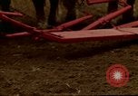 Image of Farmer with horses and mules plows field New York United States USA, 1970, second 62 stock footage video 65675040536