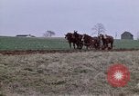 Image of Horse drawn plow New York United States USA, 1970, second 5 stock footage video 65675040541