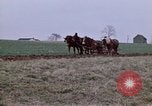 Image of Horse drawn plow New York United States USA, 1970, second 6 stock footage video 65675040541