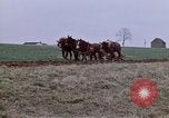 Image of Horse drawn plow New York United States USA, 1970, second 8 stock footage video 65675040541