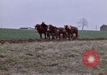 Image of Horse drawn plow New York United States USA, 1970, second 9 stock footage video 65675040541
