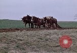 Image of Horse drawn plow New York United States USA, 1970, second 13 stock footage video 65675040541