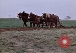Image of Horse drawn plow New York United States USA, 1970, second 16 stock footage video 65675040541