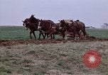 Image of Horse drawn plow New York United States USA, 1970, second 17 stock footage video 65675040541
