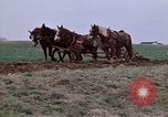 Image of Horse drawn plow New York United States USA, 1970, second 18 stock footage video 65675040541