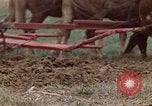Image of Horse drawn plow New York United States USA, 1970, second 30 stock footage video 65675040541