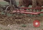 Image of Horse drawn plow New York United States USA, 1970, second 31 stock footage video 65675040541
