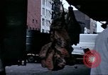 Standbild Meat Packing District New York City USA, 1970, aus Sekunde 12 historischem Filmmaterial Videoclip 65675040544