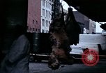 Standbild Meat Packing District New York City USA, 1970, aus Sekunde 15 historischem Filmmaterial Videoclip 65675040544