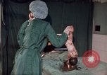 Standbild baby Lieferung Kingston Jamaika, 1972, aus Sekunde 38 historischem Filmmaterial Videoclip 65675040549