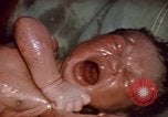 Standbild baby Lieferung Kingston Jamaika, 1972, aus Sekunde 39 historischem Filmmaterial Videoclip 65675040549