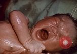 Standbild baby Lieferung Kingston Jamaika, 1972, aus Sekunde 41 historischem Filmmaterial Videoclip 65675040549