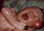 Standbild baby Lieferung Kingston Jamaika, 1972, aus Sekunde 43 historischem Filmmaterial Videoclip 65675040549