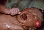 Standbild baby Lieferung Kingston Jamaika, 1972, aus Sekunde 45 historischem Filmmaterial Videoclip 65675040549