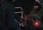 Image accouchement bébé Kingston Jamaïque, 1972, de la seconde 33 séquences d'archives historiques vidéo 65675040550