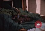 Image accouchement bébé Kingston Jamaïque, 1972, de la seconde 46 séquences d'archives historiques vidéo 65675040550