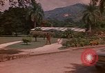 Image serre Kingston Jamaïque, 1972, de la seconde 6 séquences d'archives historiques vidéo 65675040555