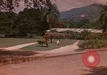 Image serre Kingston Jamaïque, 1972, de la seconde 9 séquences d'archives historiques vidéo 65675040555