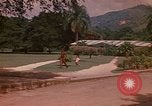 Image serre Kingston Jamaïque, 1972, de la seconde 10 séquences d'archives historiques vidéo 65675040555