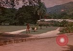 Image serre Kingston Jamaïque, 1972, de la seconde 11 séquences d'archives historiques vidéo 65675040555
