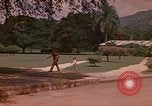 Image serre Kingston Jamaïque, 1972, de la seconde 13 séquences d'archives historiques vidéo 65675040555