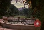Image serre Kingston Jamaïque, 1972, de la seconde 17 séquences d'archives historiques vidéo 65675040555