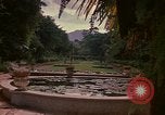 Image serre Kingston Jamaïque, 1972, de la seconde 19 séquences d'archives historiques vidéo 65675040555