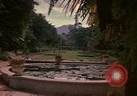 Image serre Kingston Jamaïque, 1972, de la seconde 20 séquences d'archives historiques vidéo 65675040555