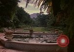 Image serre Kingston Jamaïque, 1972, de la seconde 21 séquences d'archives historiques vidéo 65675040555