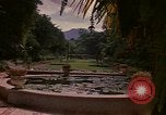 Image serre Kingston Jamaïque, 1972, de la seconde 22 séquences d'archives historiques vidéo 65675040555
