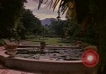 Image serre Kingston Jamaïque, 1972, de la seconde 23 séquences d'archives historiques vidéo 65675040555