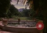 Image serre Kingston Jamaïque, 1972, de la seconde 26 séquences d'archives historiques vidéo 65675040555
