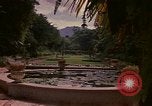 Image serre Kingston Jamaïque, 1972, de la seconde 27 séquences d'archives historiques vidéo 65675040555