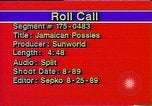 Image Jamaican Posse United States USA, 1989, de la seconde 1 séquences d'archives historiques vidéo 65675040567