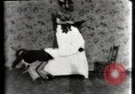 Immagine di Il misterioso Cafe United States USA, 1900, secondo 30 filmato di repertorio 65675040596