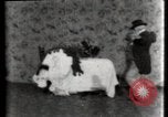Immagine di Il misterioso Cafe United States USA, 1900, secondo 60 filmato di repertorio 65675040596