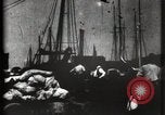 Image of Stranded schooner Galveston Texas USA, 1900, second 5 stock footage video 65675040599