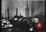 Image of Stranded schooner Galveston Texas USA, 1900, second 12 stock footage video 65675040599