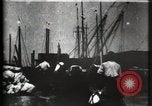 Image of Stranded schooner Galveston Texas USA, 1900, second 13 stock footage video 65675040599