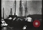 Image of Stranded schooner Galveston Texas USA, 1900, second 14 stock footage video 65675040599