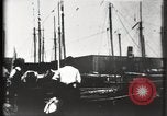 Image of Stranded schooner Galveston Texas USA, 1900, second 33 stock footage video 65675040599