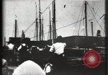 Image of Stranded schooner Galveston Texas USA, 1900, second 42 stock footage video 65675040599
